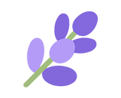 Lavender