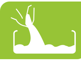For first-time use, fill a clean litter box with cat litter to a depth of approximately 5–6 cm (2–2.5 inches).