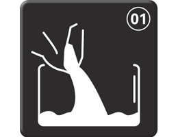 Spread a 1-2 cm layer of reptile bedding in a clean enclosure